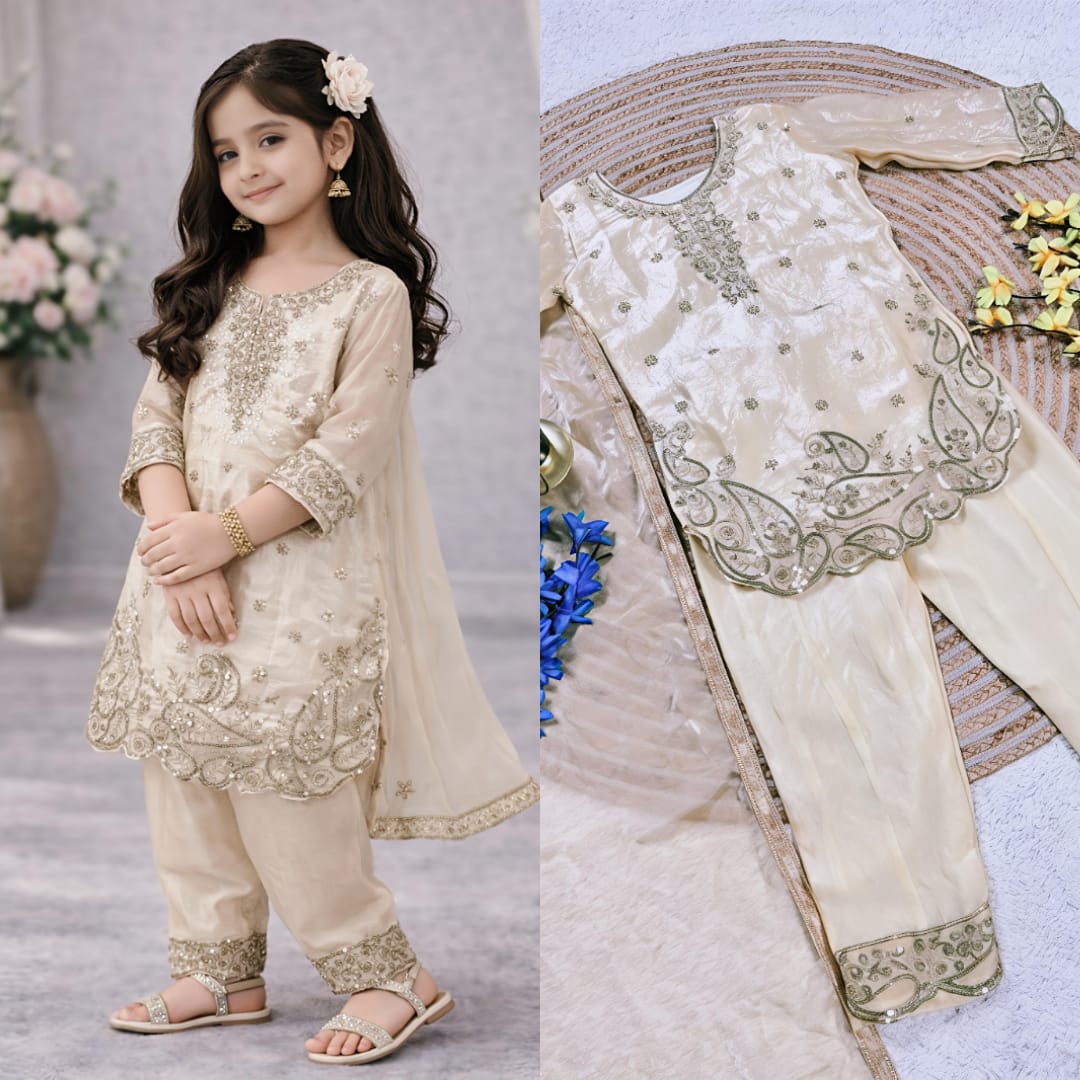 Kids Embroidered Silk Set